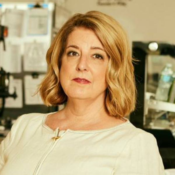 LESLIE CICCONE